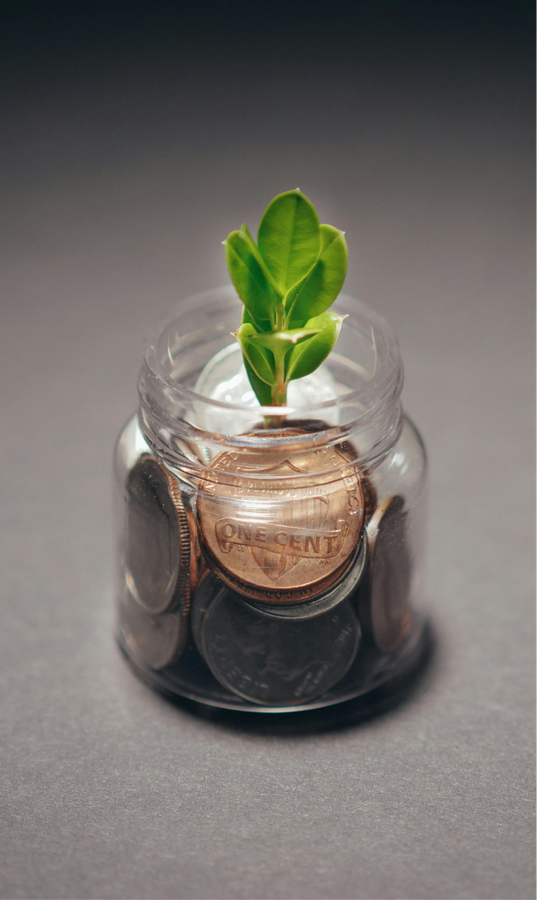 Image of a small plant seemingly growing out of a jar of coins